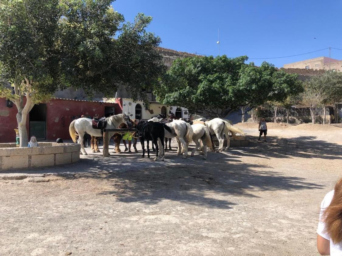 קוסטה דל סילנסיו Siempre Verano מראה חיצוני תמונה